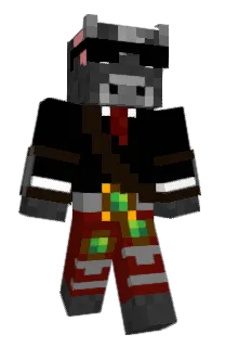 Front of JasnaGora's skin
