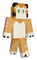 Minecraft skin — Classic model