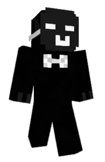 Front of AnIdiotInATree's skin