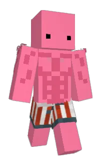 Front of pinkbanner's skin
