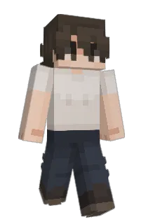 Front of misinek's skin