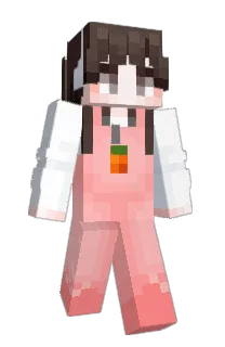 zzlol's Minecraft skin