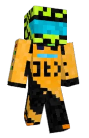Skin preview
