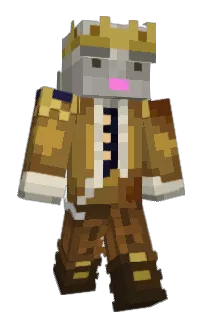 Front of Bemmig's skin