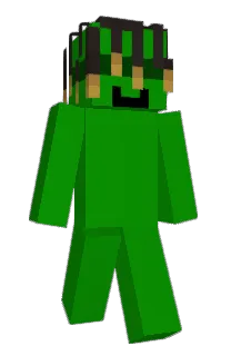 Front of Citrixxxx's skin