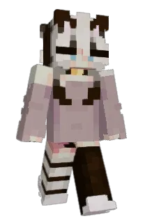 Front of sophonogram's skin