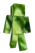 __Krzak