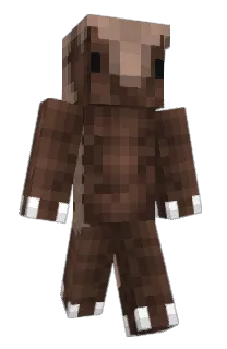Front of Peba_s's skin