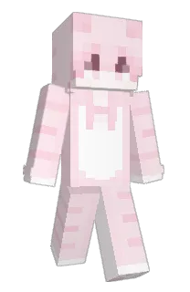 Front of Asissec's skin