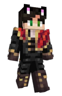 Front of Jy_06's skin