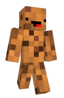 Front of TrashRS's skin
