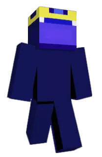 Front of Zoomph's skin