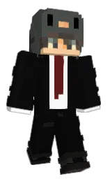 Minecraft skin — Classic model