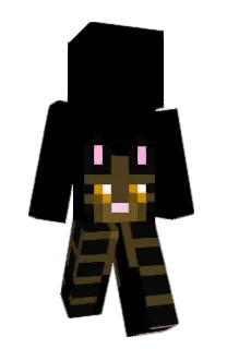 Front of Redbattery274's skin