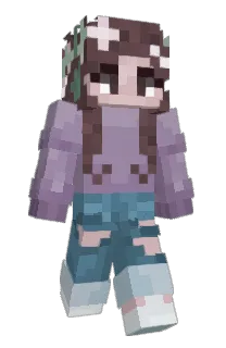 Front of Minecraft skin
