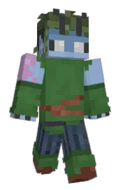 Skin preview