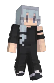 Linax143's Minecraft skin