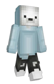 Front of zenaq's skin