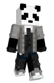 CAMPTONDISSTRACK's Minecraft skin