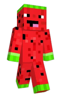 Front of Minecraft skin