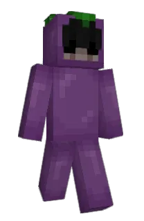 Front of sirgagner's skin