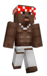 Classic Minecraft skin