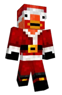 Front of sracket's skin