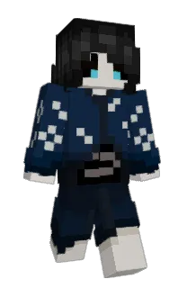 Front of AluminumFox's skin