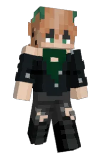 Front of setsketch's skin