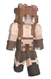 Skin preview
