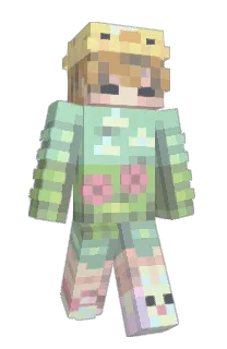 Front of 1SX's skin