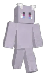 Minecraft skin — Classic model