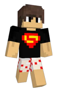 Front of Minecraft skin