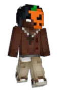 ninjalaterbro
