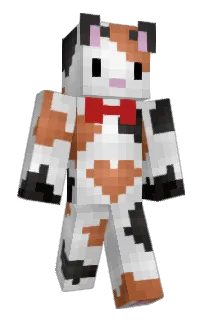 Front of ItzJerryGR's skin