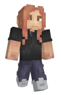 Front of Flixxer_'s skin