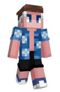 Front of BrailTeq's skin
