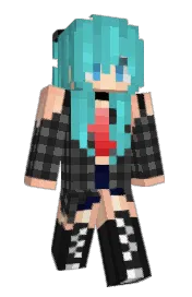 Skin preview