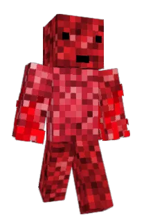 Front of I_Dingus_I's skin