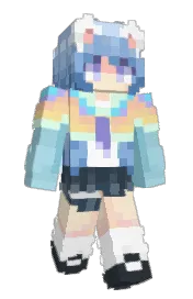 Skin preview