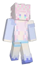 Minecraft skin — Classic model