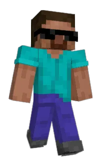Front of sspilner's skin