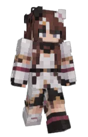 Skin preview