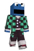 pippip304