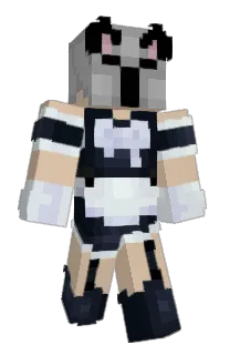 Front of DividePog's skin