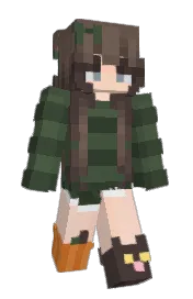 Skin preview