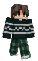 Minecraft skin — Classic model