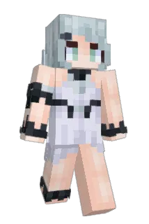 2714AC Minecraft avatar full body
