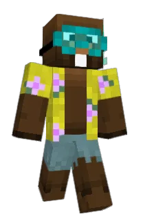 Front of Bakkie_'s skin