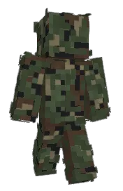 Skin preview